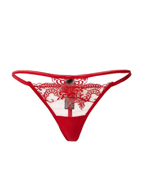 Bluebella String  rød