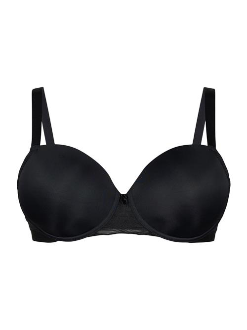 Devoted by Zizzi BH 'Lfie'  sort