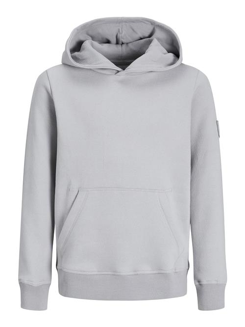 Jack & Jones Junior Sweatshirt  grå