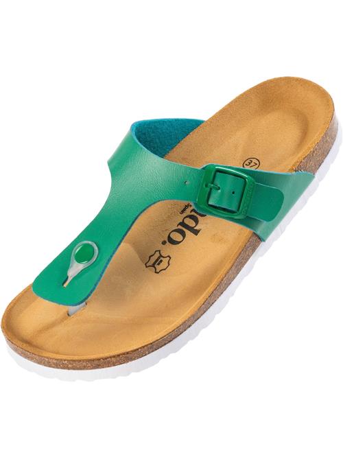 Palado Klipklappere 'Kos'  grøn