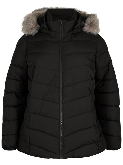 Zizzi Vinterjakke 'Cajulia'  sort