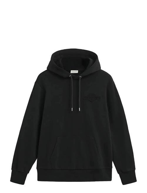 Reg Tonal Shield Hoodie GANT Patterned