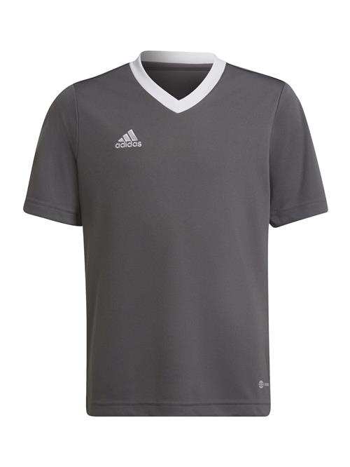 ADIDAS PERFORMANCE Funktionsskjorte 'Entrada 22'  grafit / hvid