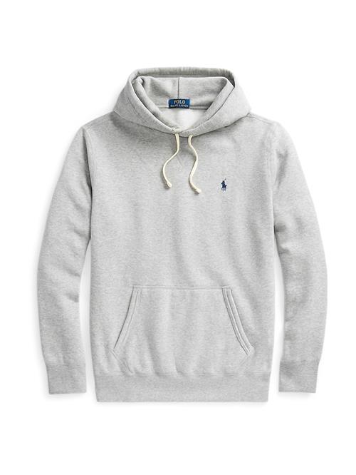 Polo Ralph Lauren Sweatshirt  navy / grå