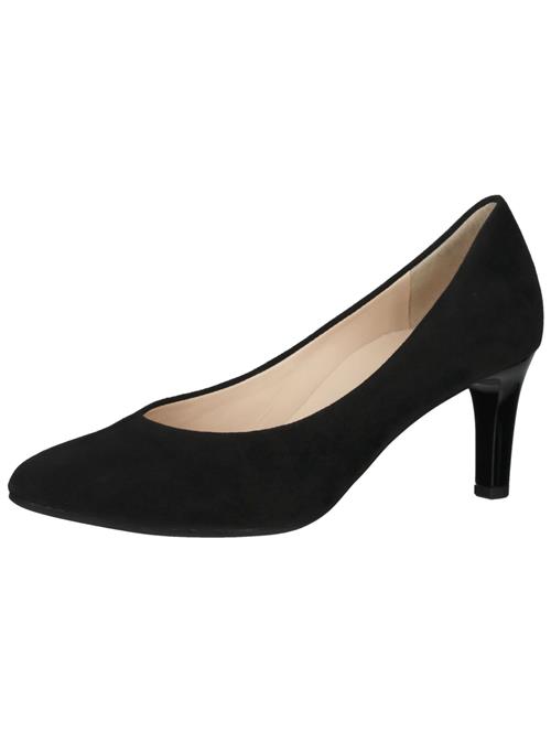 Högl Pumps 'STUDIO 60'  sort