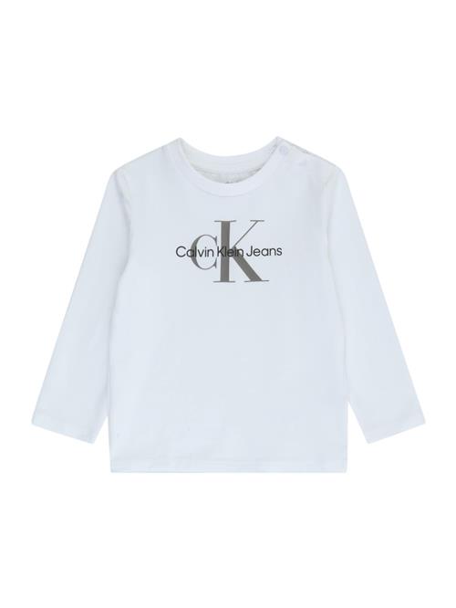 Calvin Klein Jeans Shirts  mørkegrå / sort / offwhite