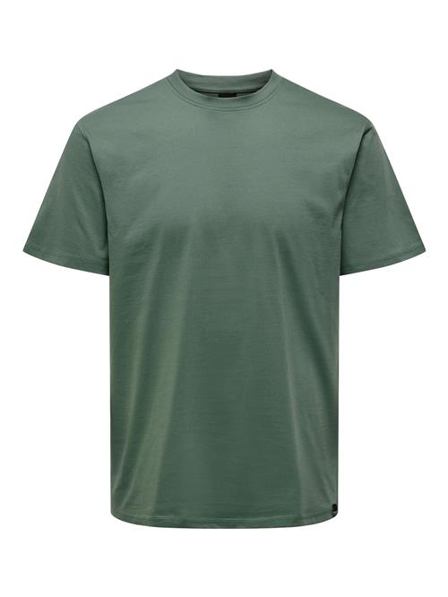Only & Sons Bluser & t-shirts 'Max'  gran
