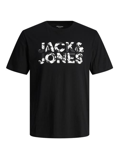 JACK & JONES Bluser & t-shirts 'JJEJeff'  antracit / sort / hvid