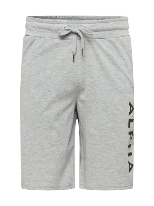 ALPHA INDUSTRIES Bukser  grå / sort