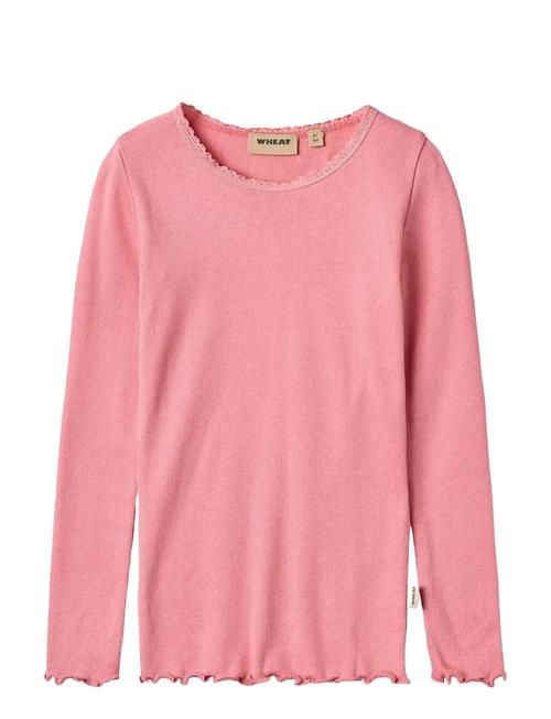 Rib T-Shirt Lace Ls Wheat Pink
