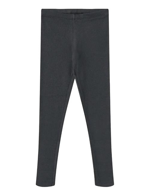 Rib Leggings Maddy Wheat Navy