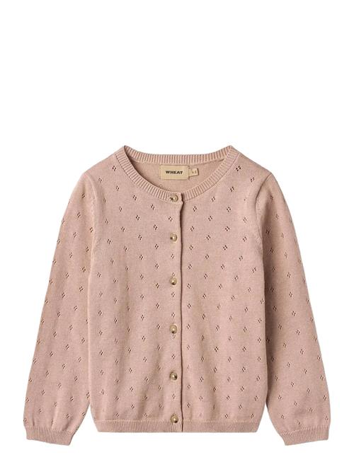 Knit Cardigan Maia Wheat Pink