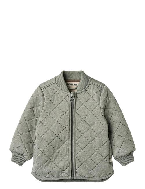 Thermo Jacket Loui Wheat Grey