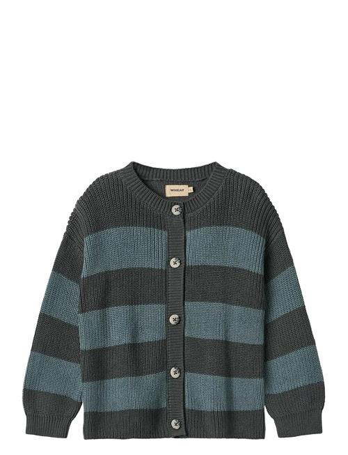 Knit Cardigan Noor Wheat Blue