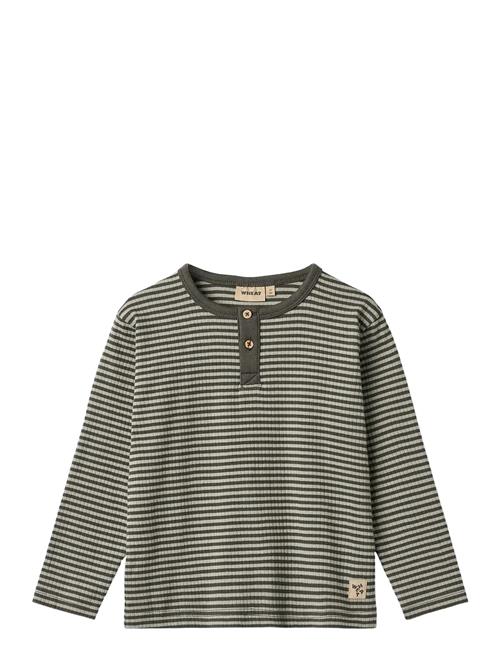T-Shirt L/S Morris Wheat Khaki