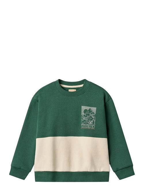 Sweatshirt L/S Steff Wheat Green