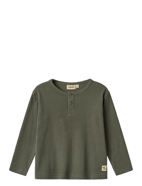 T-Shirt L/S Morris Wheat Khaki