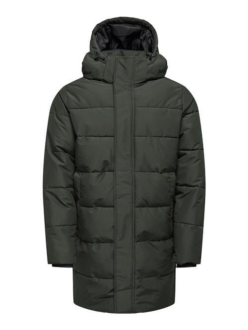 Only & Sons Vinterfrakke 'CARL'  mørkegrøn
