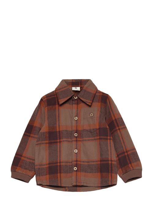 Shirt Ls Check En Fant Brown
