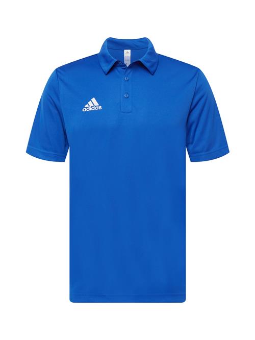 ADIDAS PERFORMANCE Funktionsskjorte 'Entrada 22'  blå / hvid
