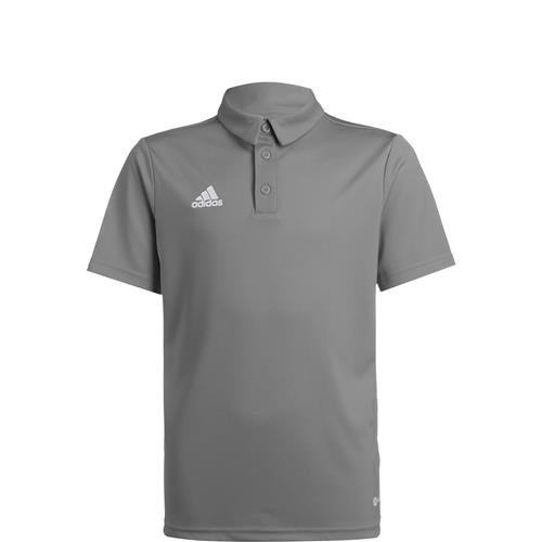 ADIDAS PERFORMANCE Funktionsskjorte 'Entrada 22'  grå / offwhite