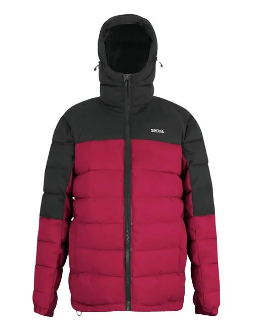 Aldthorn Regatta Burgundy