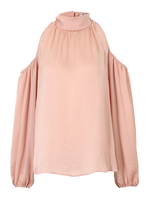 Dorothy Perkins Tall Bluse  pink
