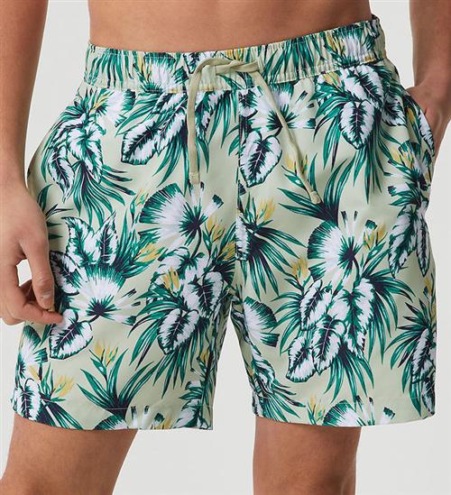 Björn Borg Badeshorts - Borg Print - Exotic Big