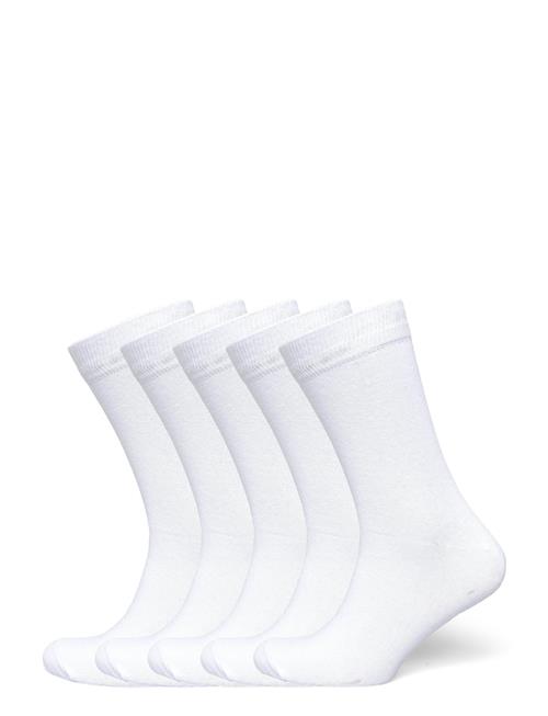5 Pack Cotton Sock Lindbergh White