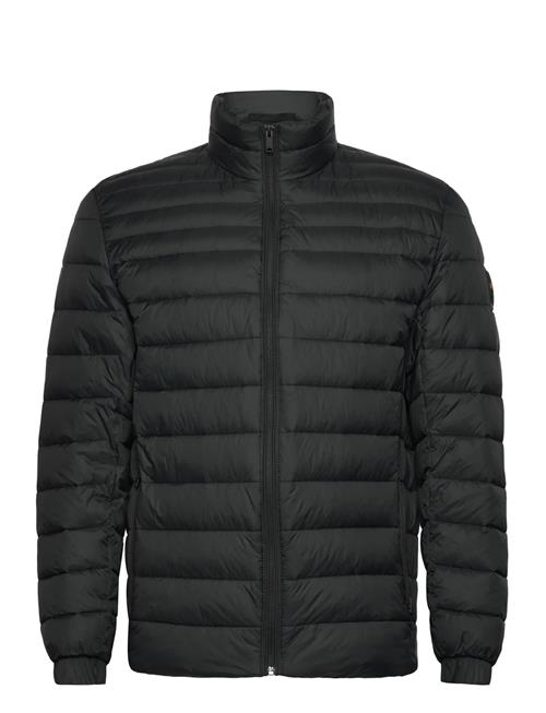 Oden2 BOSS Black