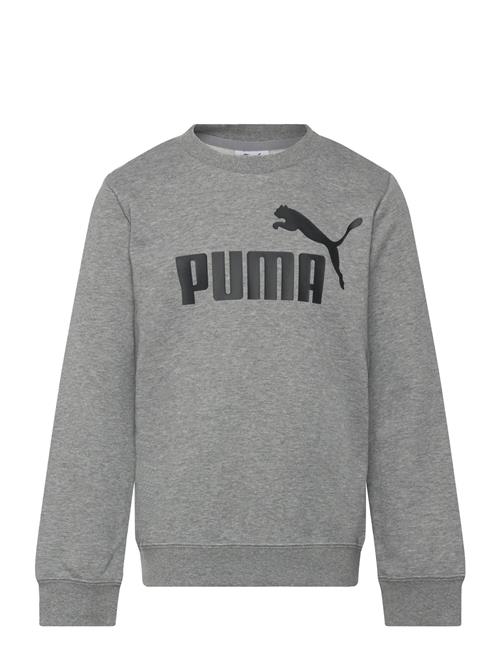 Ess No. 1 Logo Crew Tr B PUMA Grey