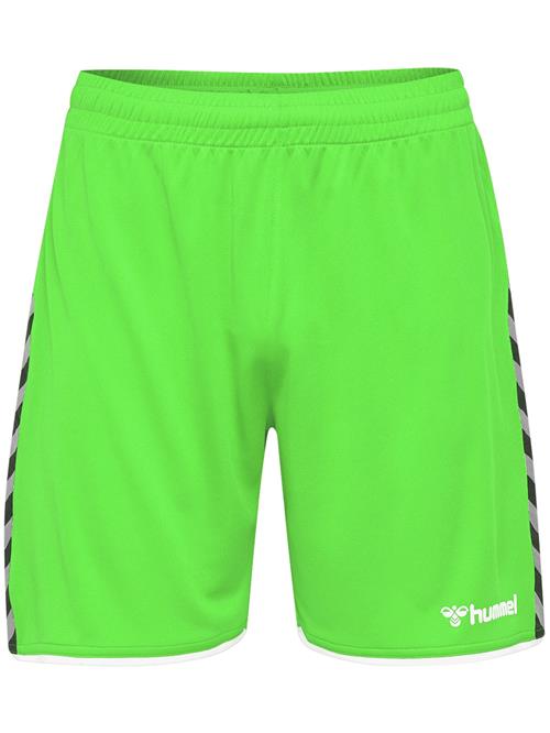 Hummel Sportsbukser 'Authentic'  neongrøn / sort