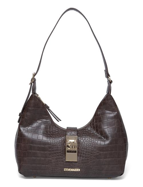 Bovie-A Steve Madden Brown