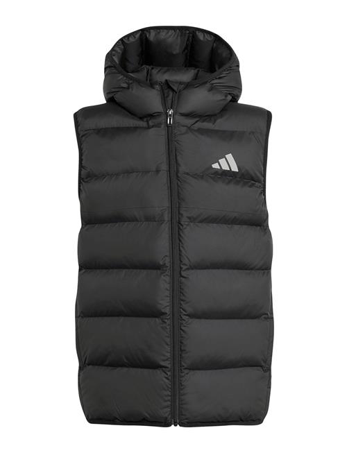 J Sd Vest Adidas Sportswear Black