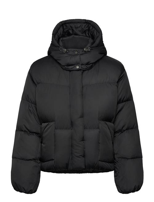 Western Bubble Shortie Anthrac Levi's® Black