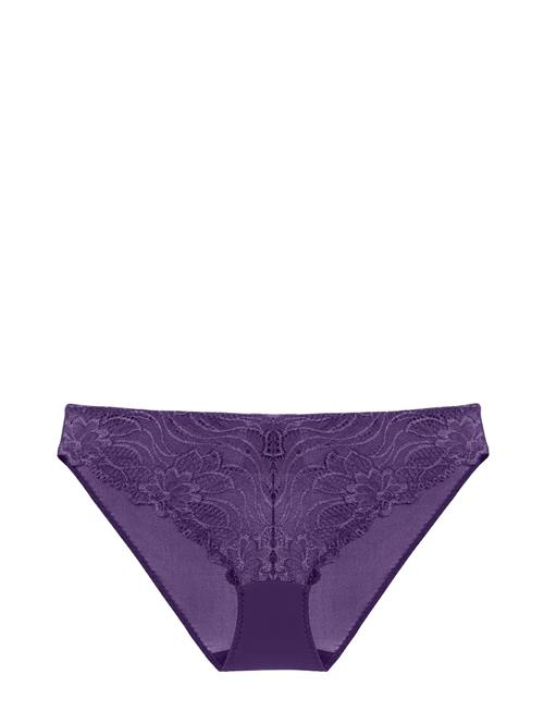 Angie Brief Dorina Purple