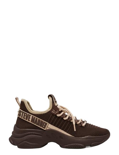 Mac-E Sneaker Steve Madden Brown