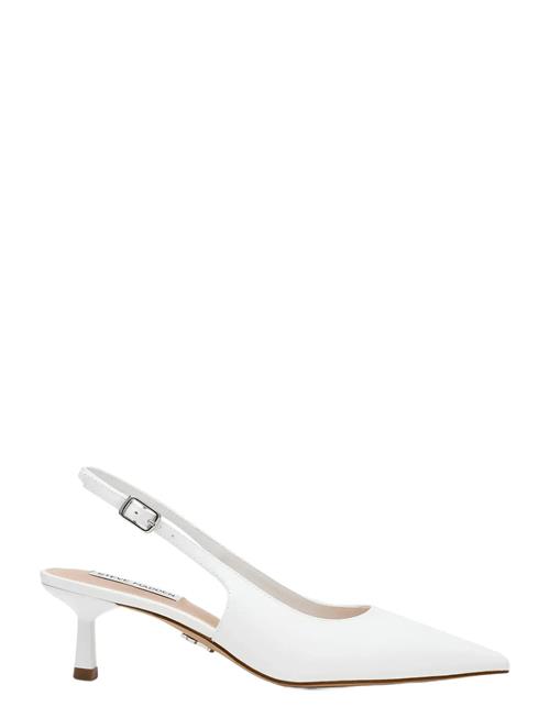 Korra Steve Madden White