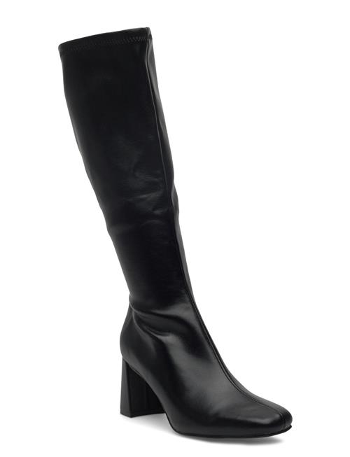 Holly Steve Madden Black