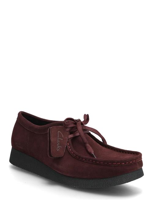 Wallabeeevosh D Clarks Burgundy