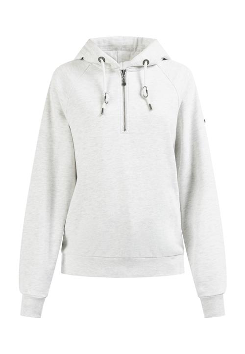 DreiMaster Vintage Sweatshirt 'Takelage'  lysegrå