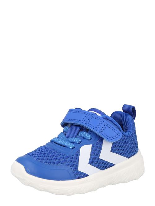 Hummel Sneakers 'ACTUS'  blå / hvid