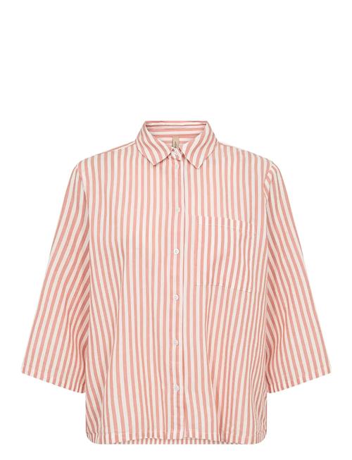 Sc-Rosette Soyaconcept Pink