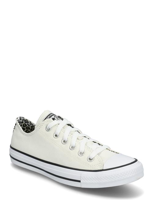 Ctas Ox Egret/Black/Coastal Dune Converse White