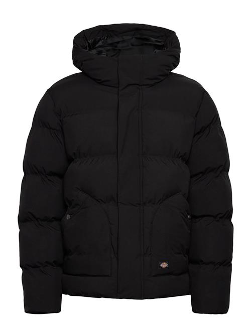 M Eagleville Hooded Puffer Dickies Black