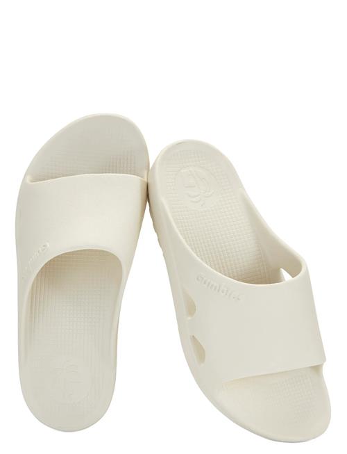 Spasole Gumbies Gold