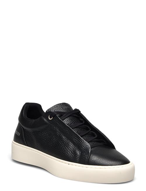 Lennox Sneaker Steve Madden Black