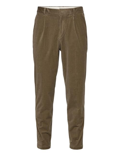 C-Perin-Pl-253 BOSS Beige