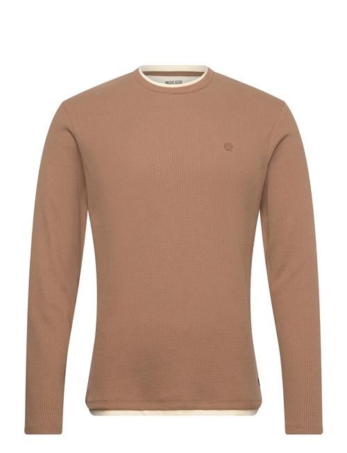 Insigfinn INDICODE Beige