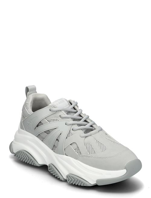 Peckman Sneaker Steve Madden Grey